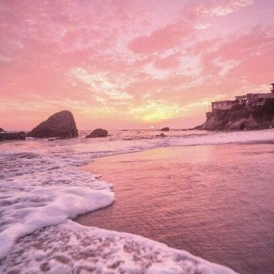 宇树科技科创板IPO申请获受理，...